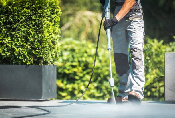 Best Roof Cleaning and Mildew Removal in White Hall, WV