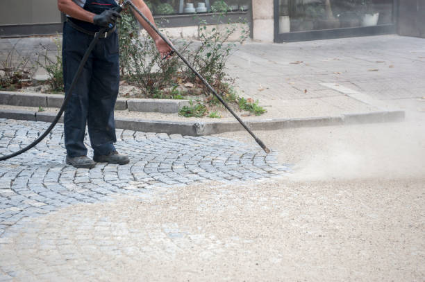 Best Driveway Cleaning and Restoration in White Hall, WV